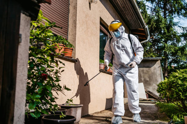 Pest Control Cost in Berthoud, CO