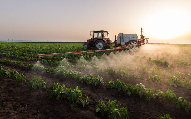 Best Mosquito Control Services  in Berthoud, CO