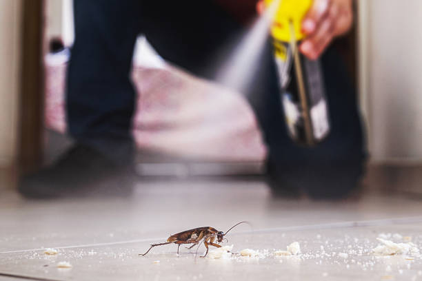 Best Pest Control Cost  in Berthoud, CO