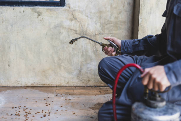 Pest Prevention Services in Berthoud, CO